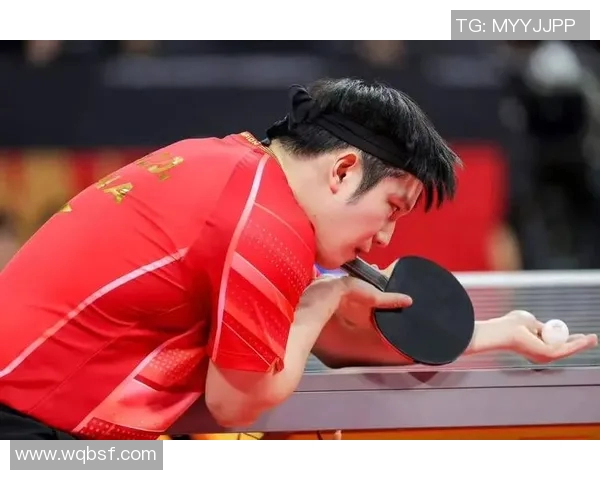 成都乒乓球队在精英赛中的技术表现分析与点评