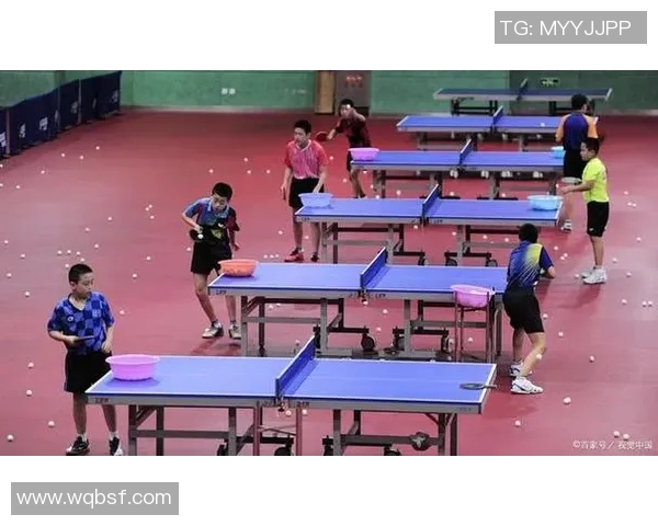 乒乓球新手必看：从基础力量训练到技巧提升的全面指南